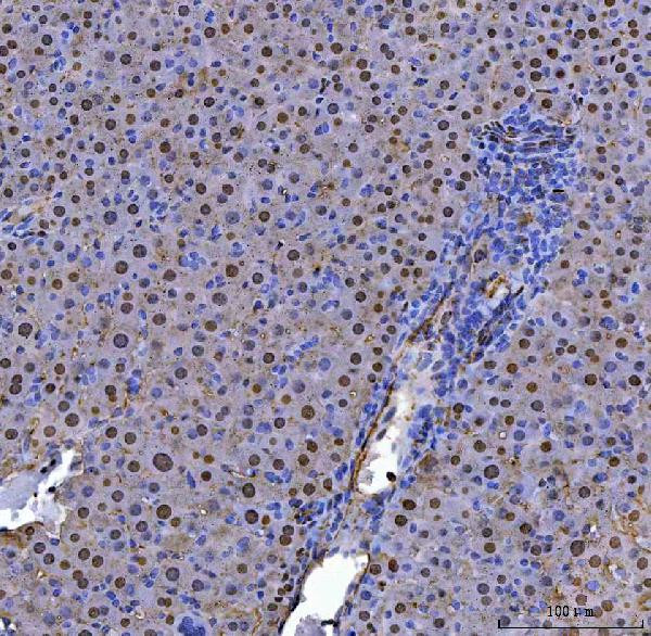 Валидация AssayVector ARM2316(4004)