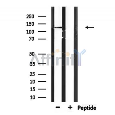 Валидация Affinity DF9348 - 21844