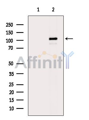 Валидация Affinity DF13999 - 9757