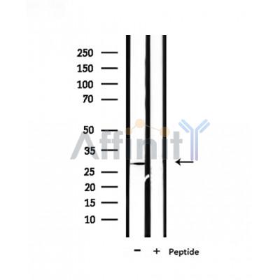 Валидация Affinity DF9734 - 22537