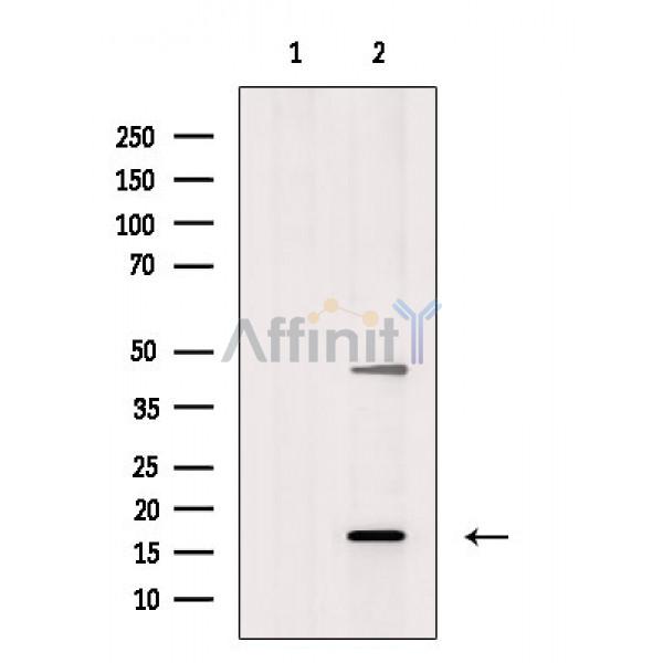 Валидация Affinity DF3362 - 14234
