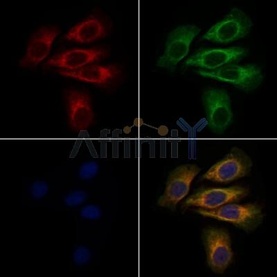 Валидация Affinity DF7843 - 19658