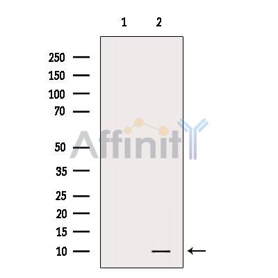 Валидация Affinity DF8816 - 20874
