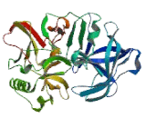 Beta-Site APP Cleaving Enzyme 2 (bACE2)