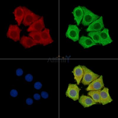 Валидация Affinity DF15134 - 11392