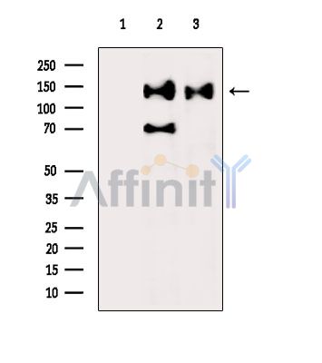 Валидация Affinity AF6767 - 4011