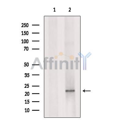Валидация Affinity DF2932 - 13673