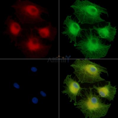 Валидация Affinity DF13803 - 9479