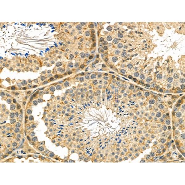 Валидация Affinity DF8646 - 20603