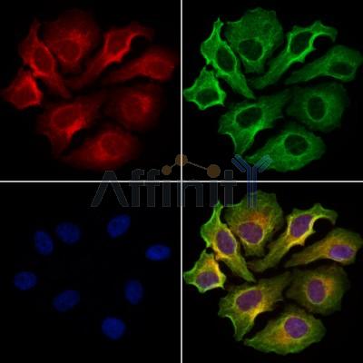 Валидация Affinity DF13296 - 8431