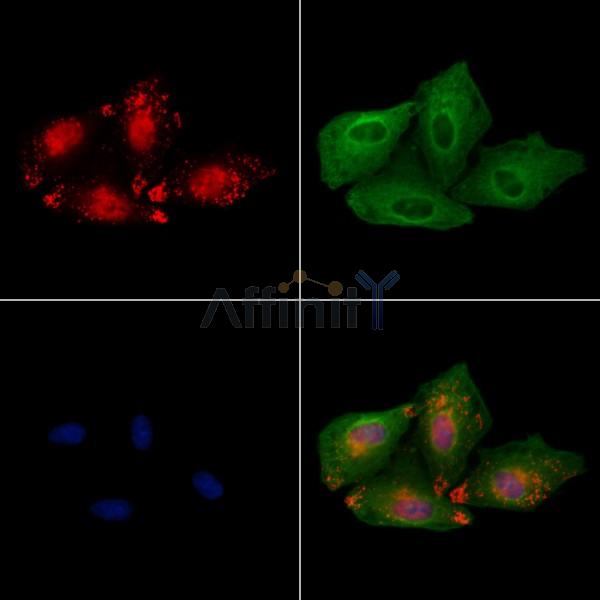 Валидация Affinity DF9577 - 22266