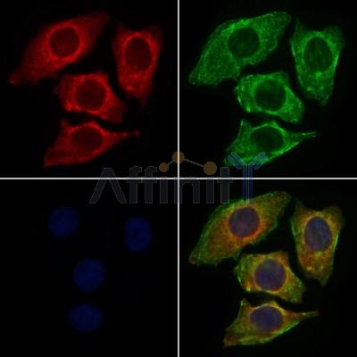 Валидация Affinity DF6211 - 17482