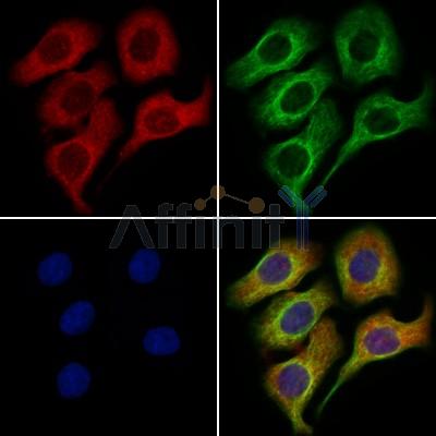 Валидация Affinity DF4322 - 15756