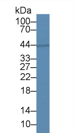 28357