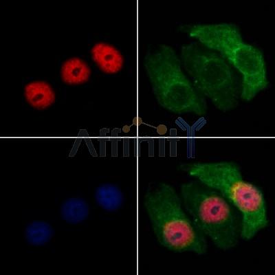 Валидация Affinity DF12803 - 7500