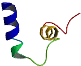 Taste Receptor Type 2 Member 60 (TAS2R60) Taste Receptor Type 2 Member 60 (TAS2R60)