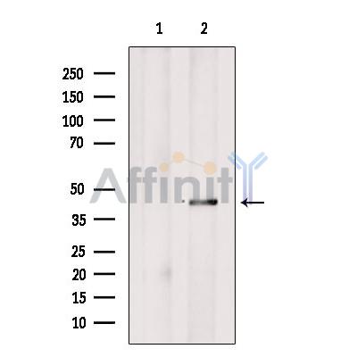 Валидация Affinity DF7034 - 18666