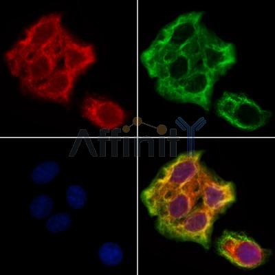 Валидация Affinity DF12334 - 6753