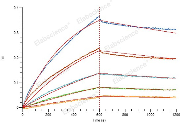 Валидация Elabscience PKSV030478(6205)