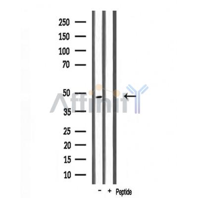 Валидация Affinity DF3719 - 14772