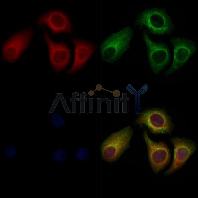 Валидация Affinity AF7763 - 4470