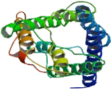 Aquaporin 1, Colton Blood Group (AQP1)