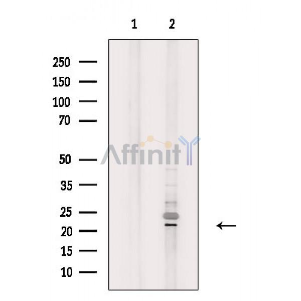 Валидация Affinity DF3128 - 13909