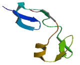 Integrin Beta 1 Binding Protein 2 (ITGb1BP2) Integrin Beta 1 Binding Protein 2 (ITGb1BP2)