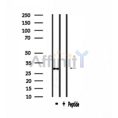 Валидация Affinity DF3959 - 15165