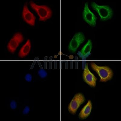 Валидация Affinity DF8635 - 20581