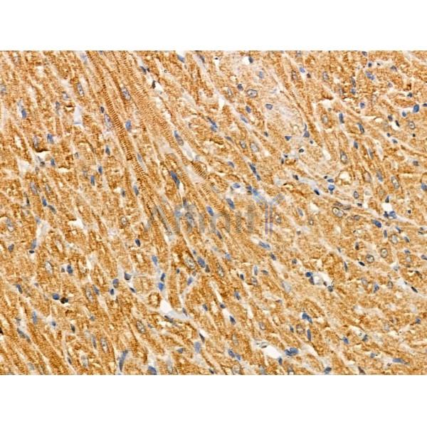 Валидация Affinity DF3862 - 15004