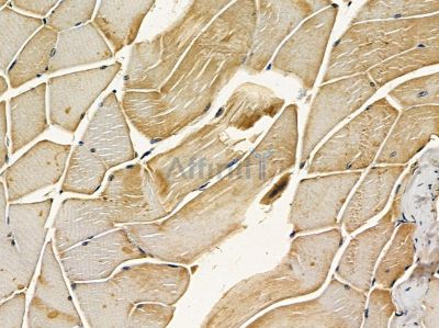 Валидация Affinity DF14290 - 10167