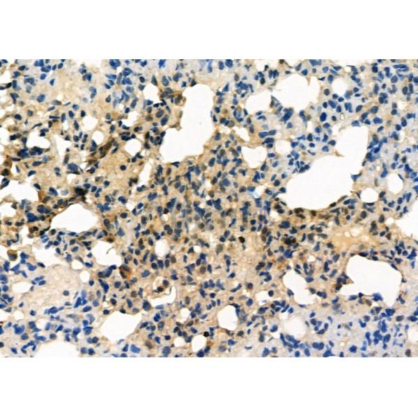 Валидация Affinity DF6728 - 18259