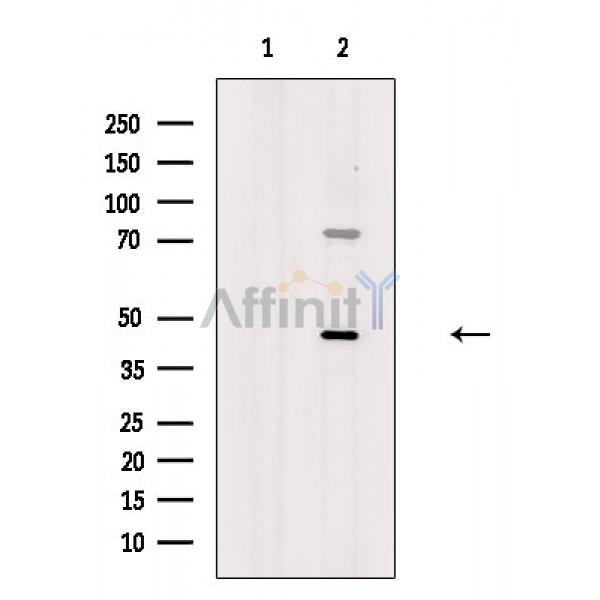 Валидация Affinity DF3850 - 14985