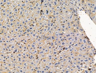 Валидация Affinity DF15218 - 11491