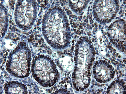 Валидация AssayVector ARM1019(57)