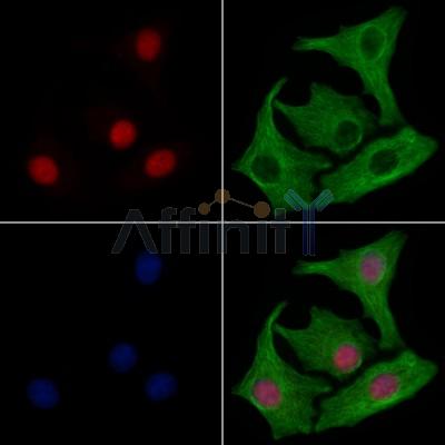 Валидация Affinity DF7830 - 19637