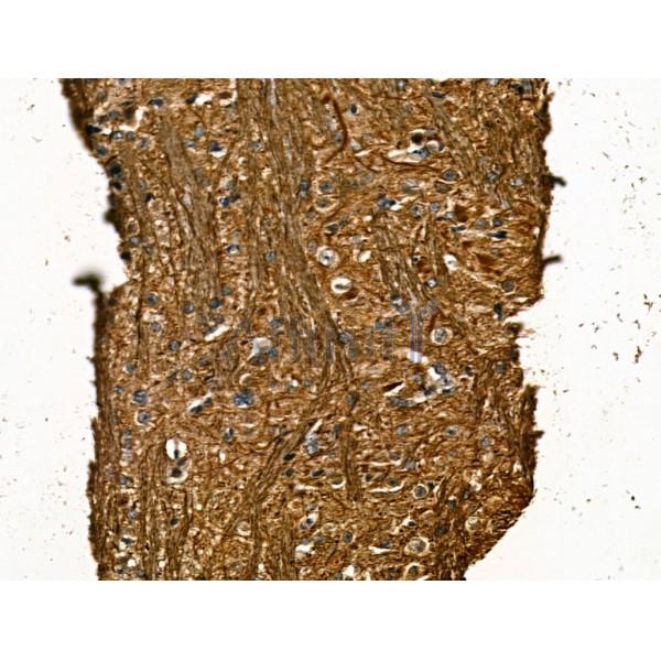 Валидация Affinity DF13211 - 8220