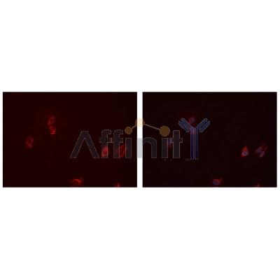 Валидация Affinity DF4801 - 16542