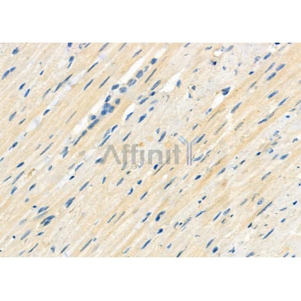 Валидация Affinity DF9810 - 22685