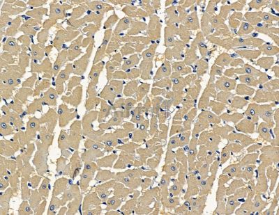 Валидация Affinity DF15848 - 12354