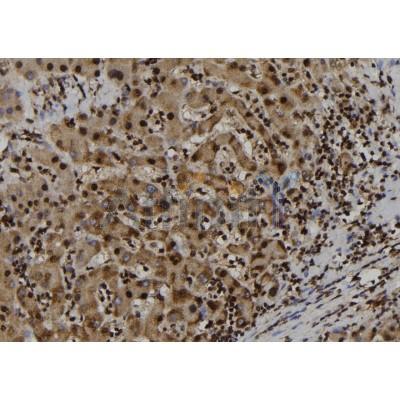 Валидация Affinity DF7462 - 19220