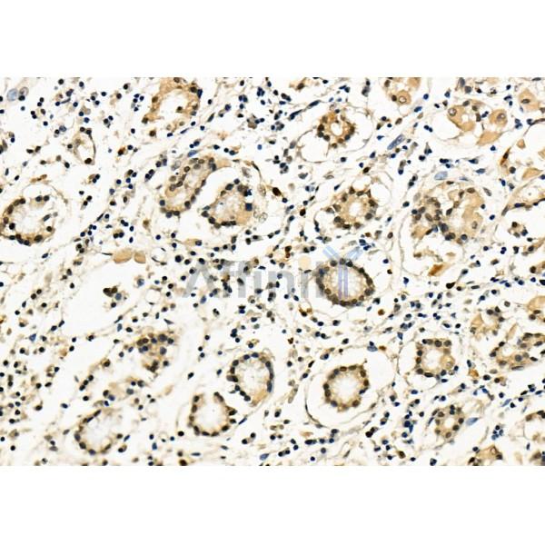 Валидация Affinity DF8349 - 20203