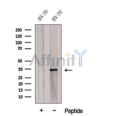 Валидация Affinity DF12578 - 7190