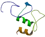 Interferon Regulatory Factor 2 Binding Protein 2 (IRF2BP2) Interferon Regulatory Factor 2 Binding Protein 2 (IRF2BP2)