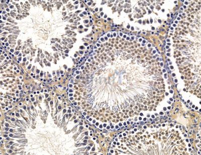 Валидация Affinity DF14683 - 10736