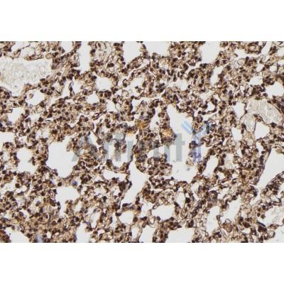 Валидация Affinity DF12152 - 6343