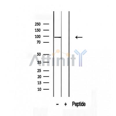 Валидация Affinity DF12485 - 7051