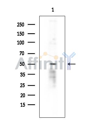 Валидация Affinity DF3501 - 14423
