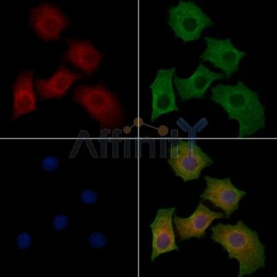 Валидация Affinity DF13087 - 7972